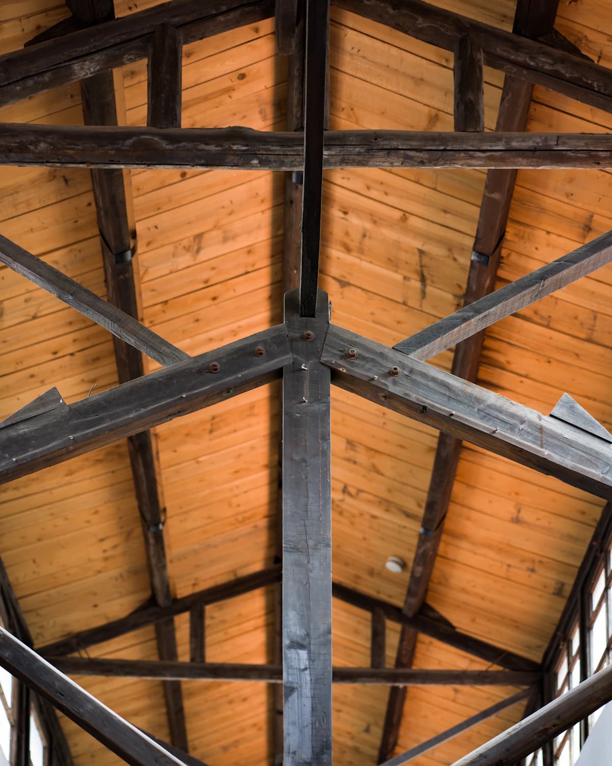 Exposed timber roof structure with hand-cut beams and bracing